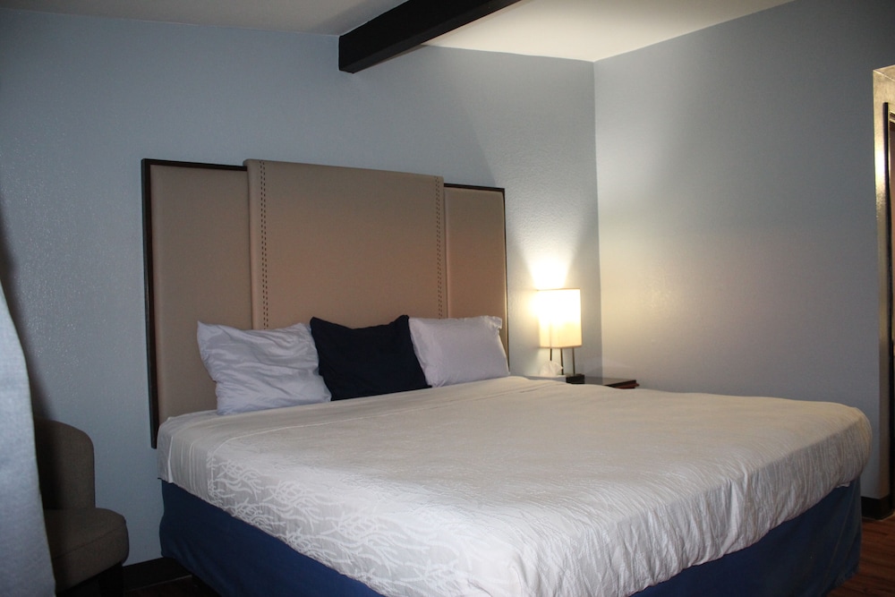 Room, 1 King Bed, Non Smoking photo 3