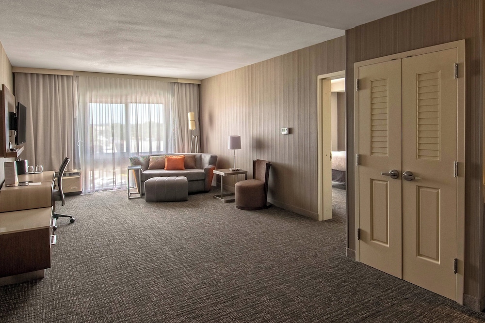 Suite, 1 King Bed with Sofa bed (Mobility/Hearing Accessible, Tub) photo 2