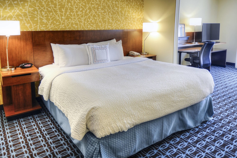 Suite, 1 King Bed with Sofa bed