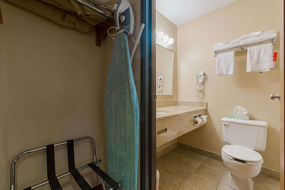 Suite, 1 King Bed with Sofa bed, Non Smoking - Photo 3