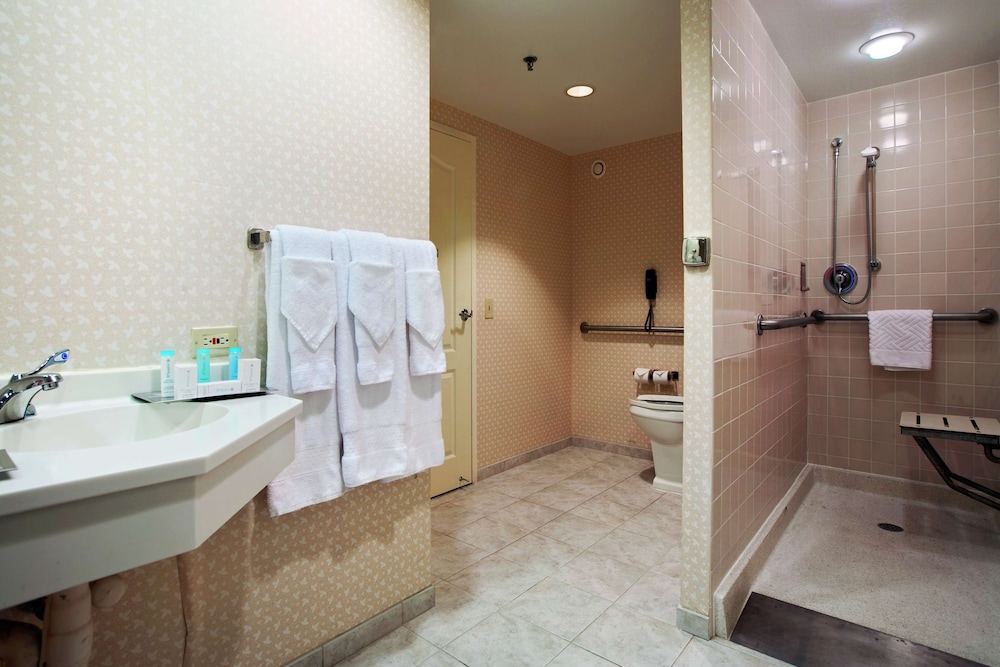 Suite, 1 Bedroom, Accessible (One King Bed) photo 3