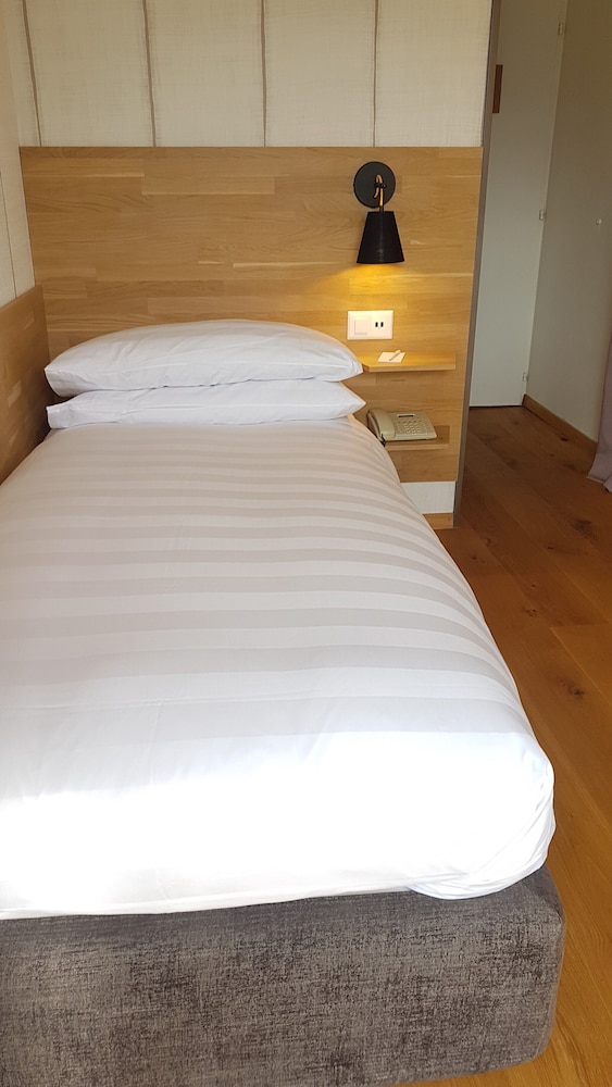 Single Room, Balcony, Mountain View (Jungfrau)