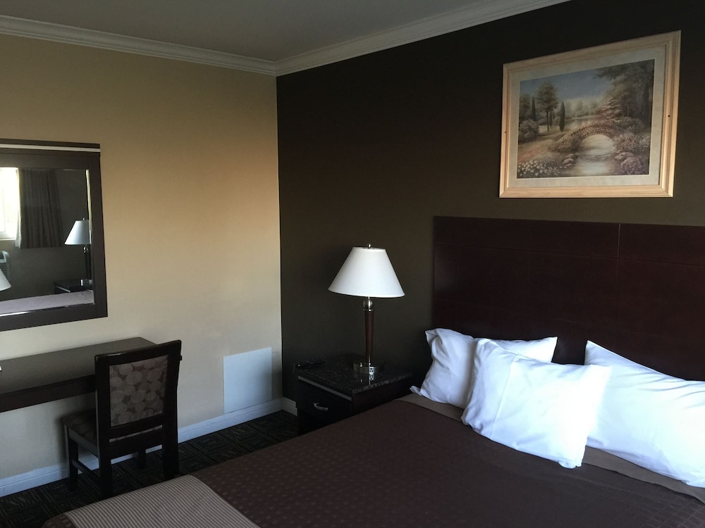 Room, 1 Queen Bed photo 1