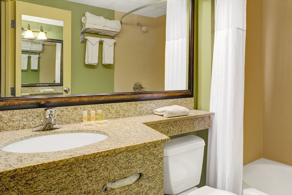 Studio Suite, 1 King Bed, Non Smoking photo 2