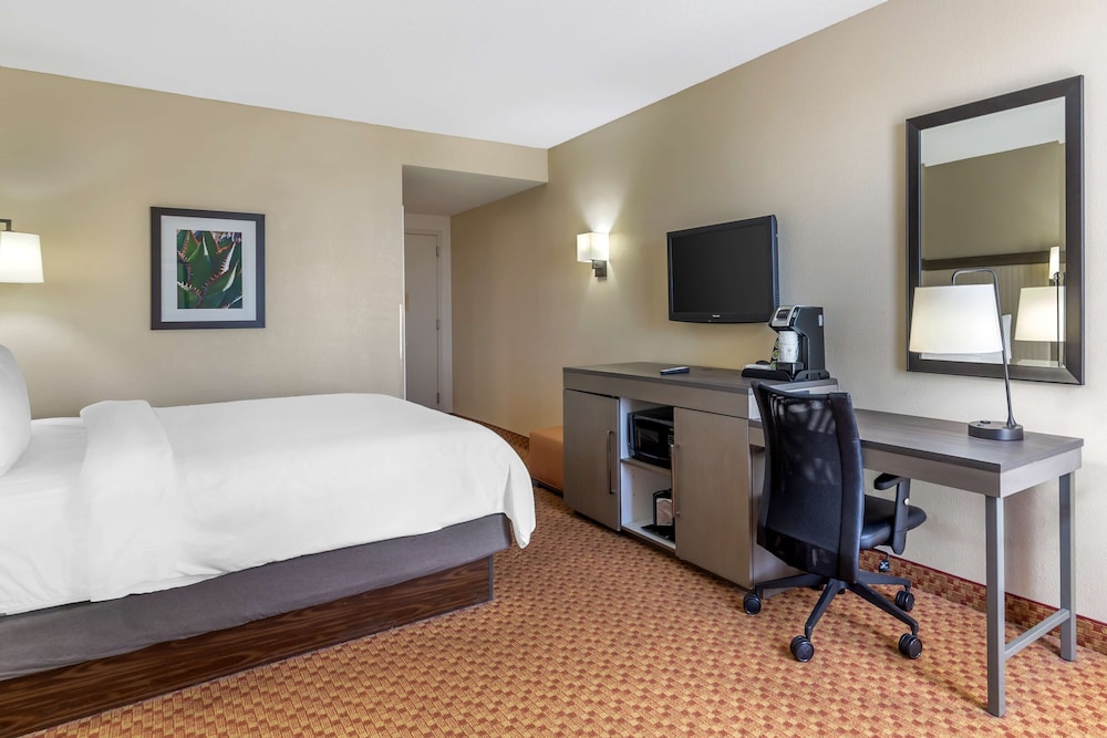 Business Room, 1 King Bed, Non Smoking, Refrigerator photo 3