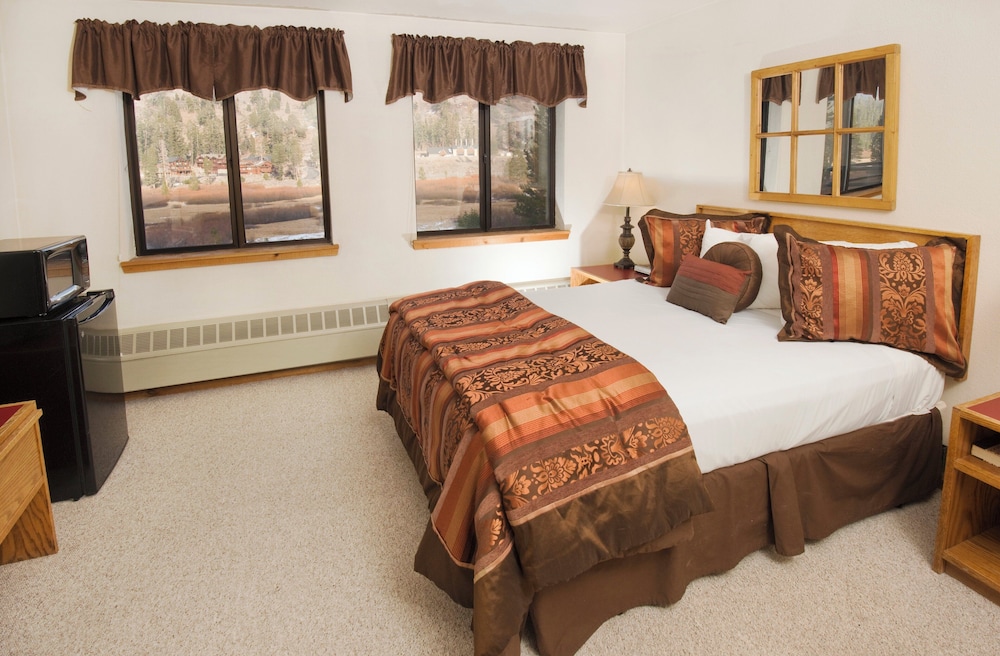 Room (The Meadows Region)