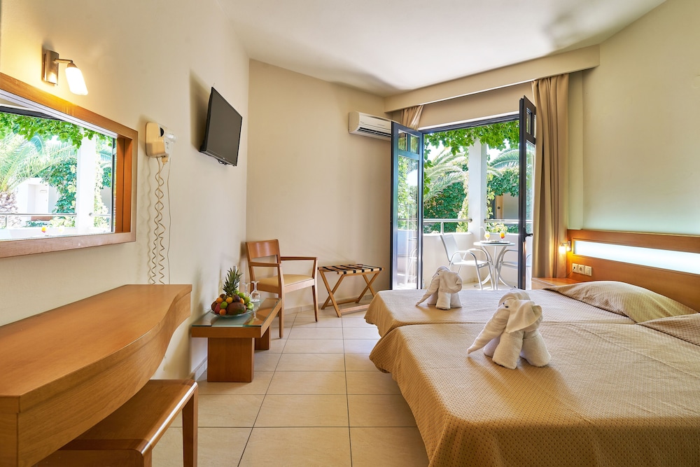 Double or Twin Room, Mountain View photo 1