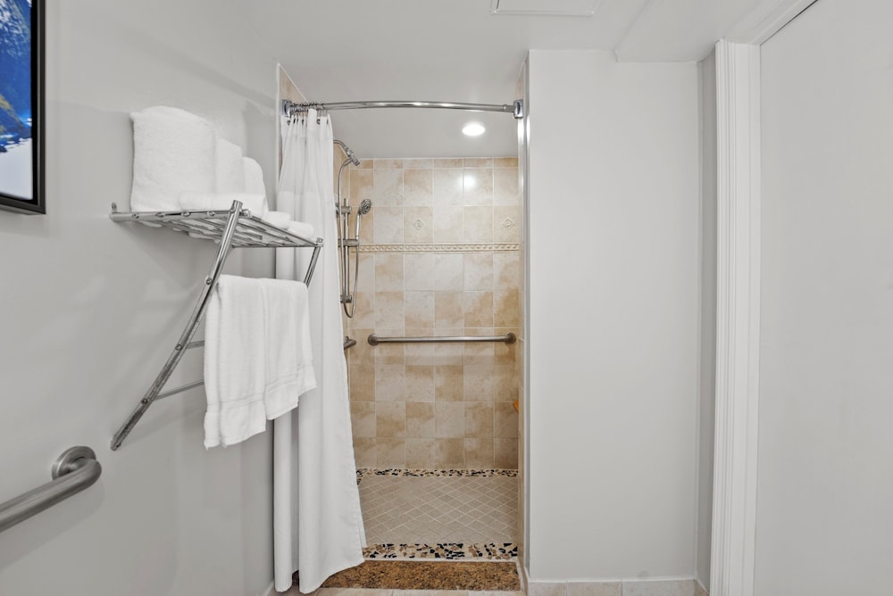 Standard Room, 1 King Bed, Accessible (Mobility, Roll-In Shower) thumbnail 6