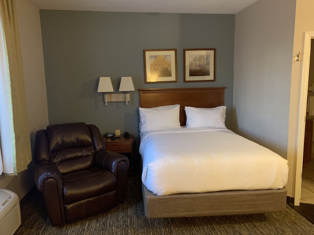 Studio Suite, 1 Queen Bed, Accessible (Hearing) - Photo 3