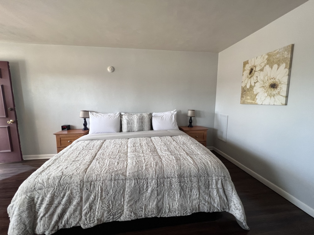 Basic Single Room, 1 King Bed photo 3