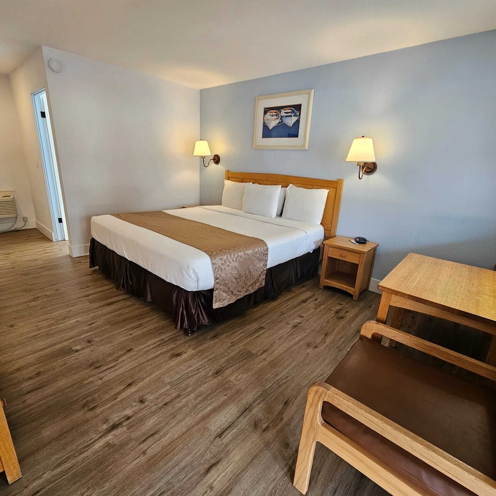 Room, 1 King Bed, Poolside, Pet Friendly