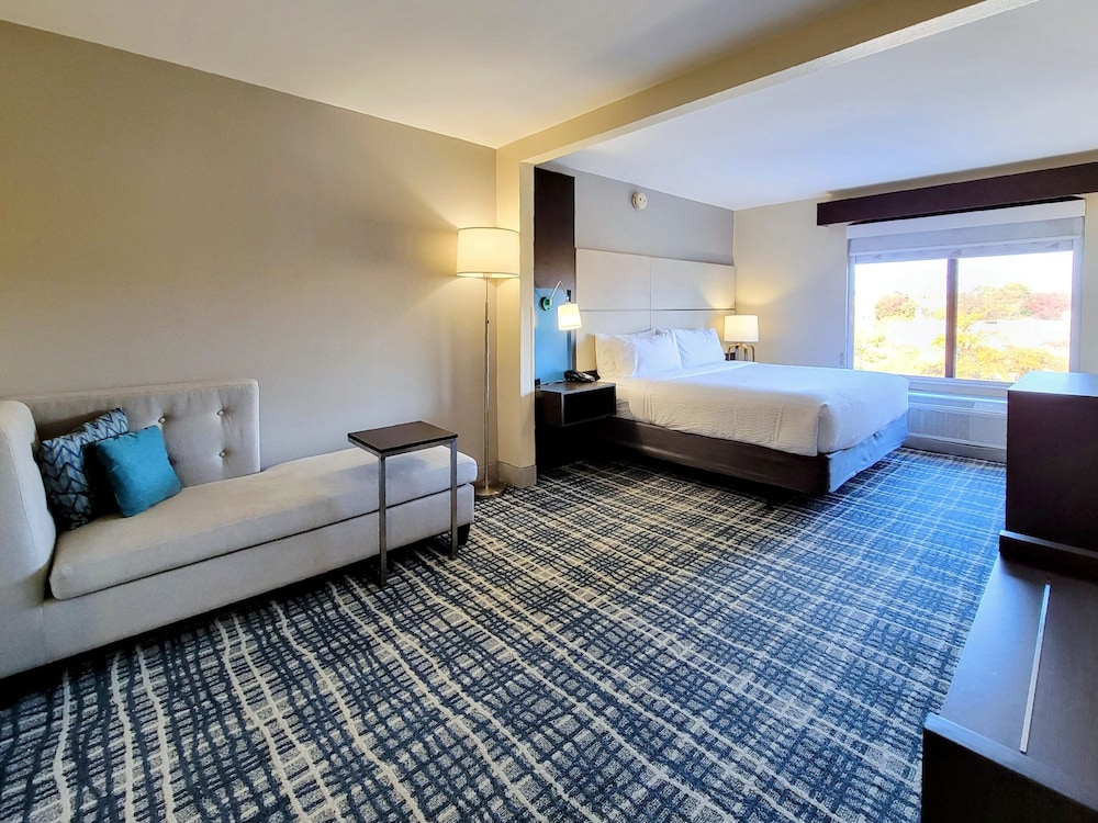Standard Room, 1 King Bed, Accessible (Communications, Transfer Shower) - Photo 9