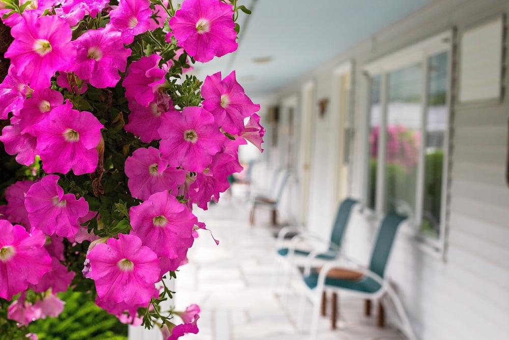 The Palmer House Resort, an Ascend Collection Hotel, Photo 2
