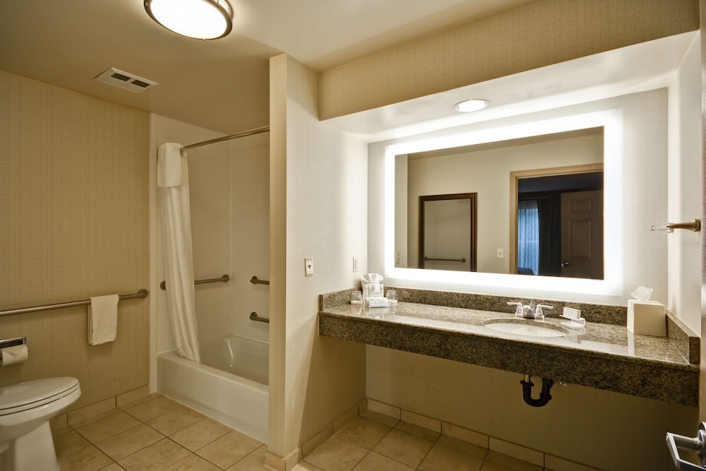 Premium Suite, 1 King Bed, Accessible, Bathtub - Photo 7