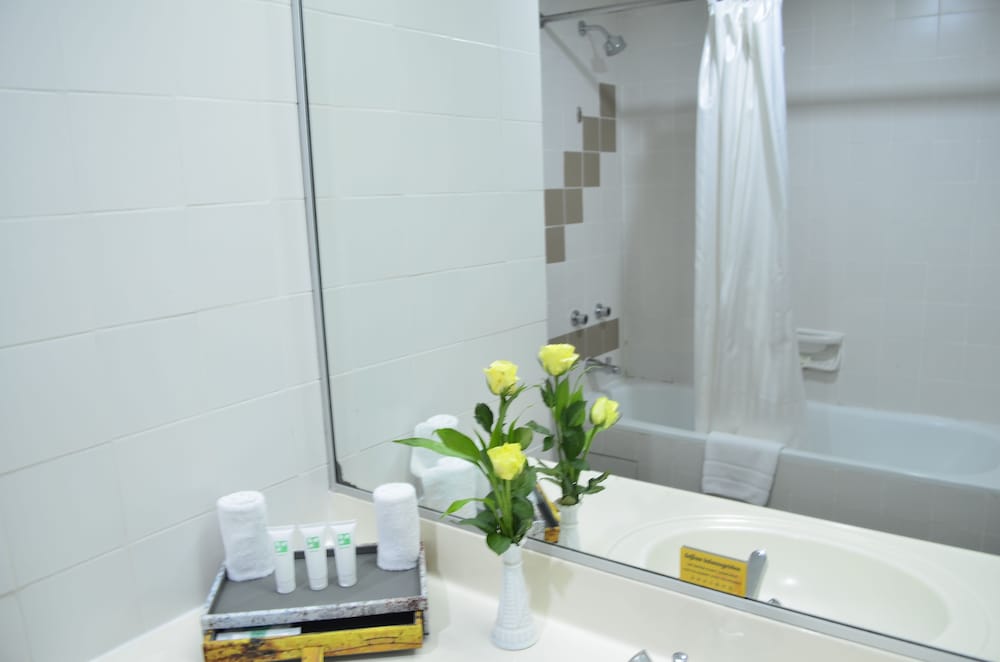 Deluxe City View (Non-Smoking Room) - Photo 9