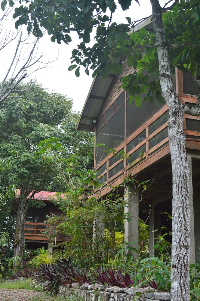 Comfort Tree House, 2 Queen Beds, Garden View, Garden Area photo 1