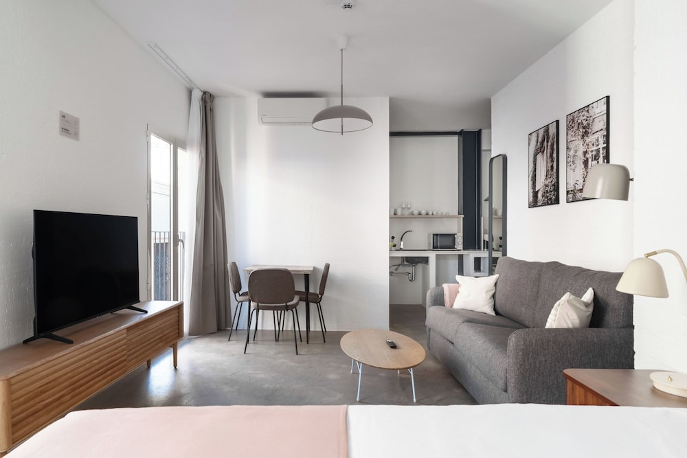 Estudio con Sofá Cama (Accesible en Silla de Ruedas)