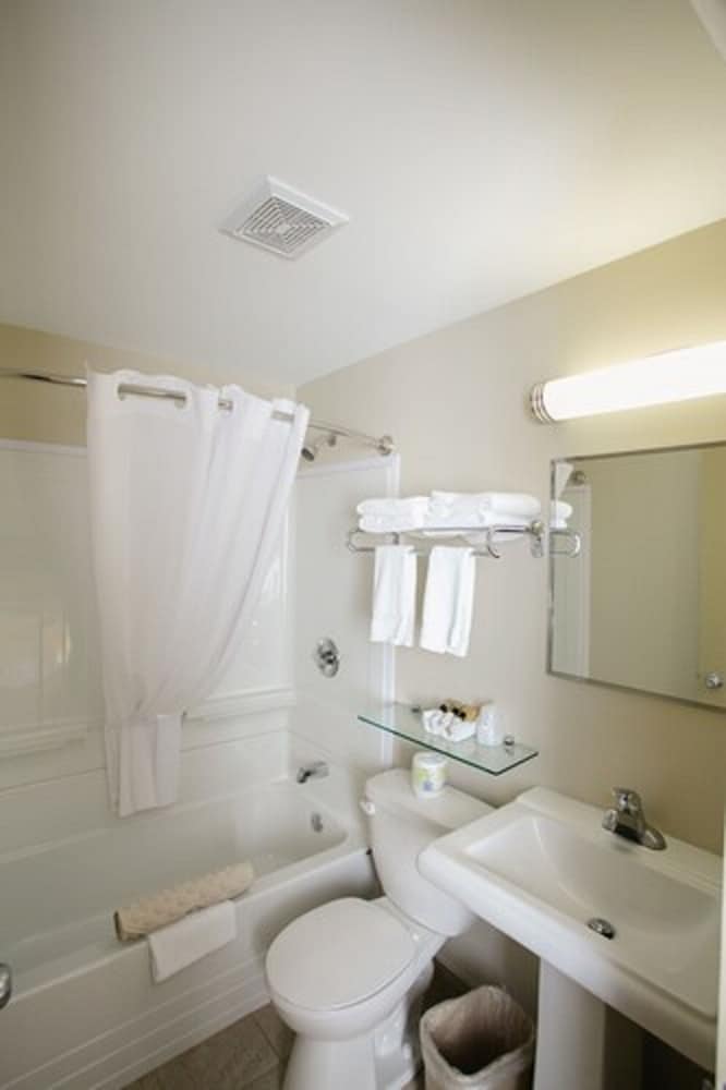 Single Room, 1 Queen Bed, Ground Floor photo 2