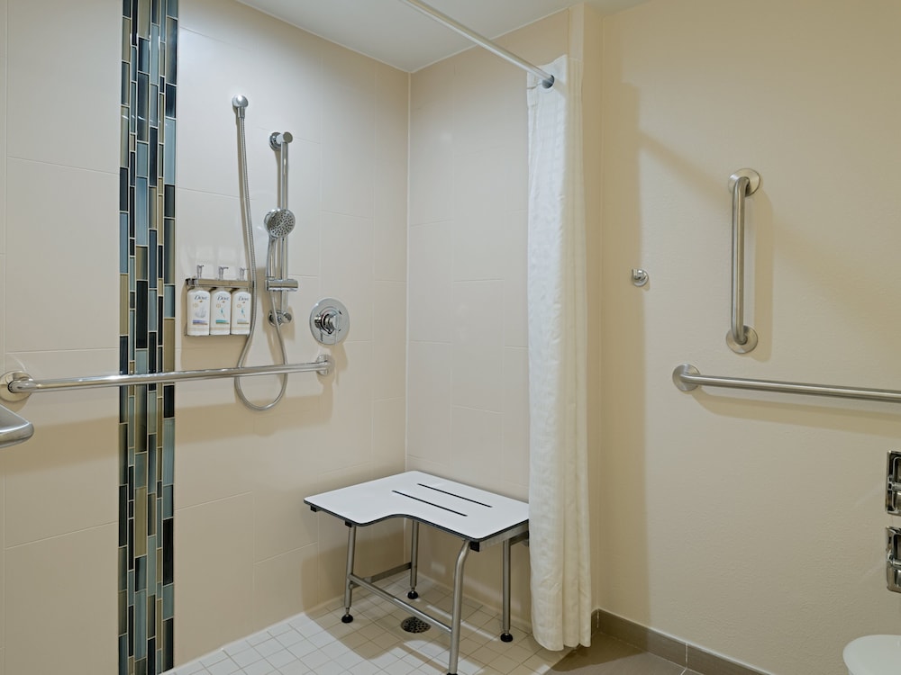 Studio, 1 King Bed, Roll-in Shower (Mobility Accessible) - Photo 1