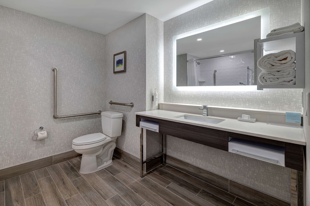 Room, 1 King Bed, Accessible, Non Smoking (Mobility & Hearing, Roll-In Shower) - Photo 3