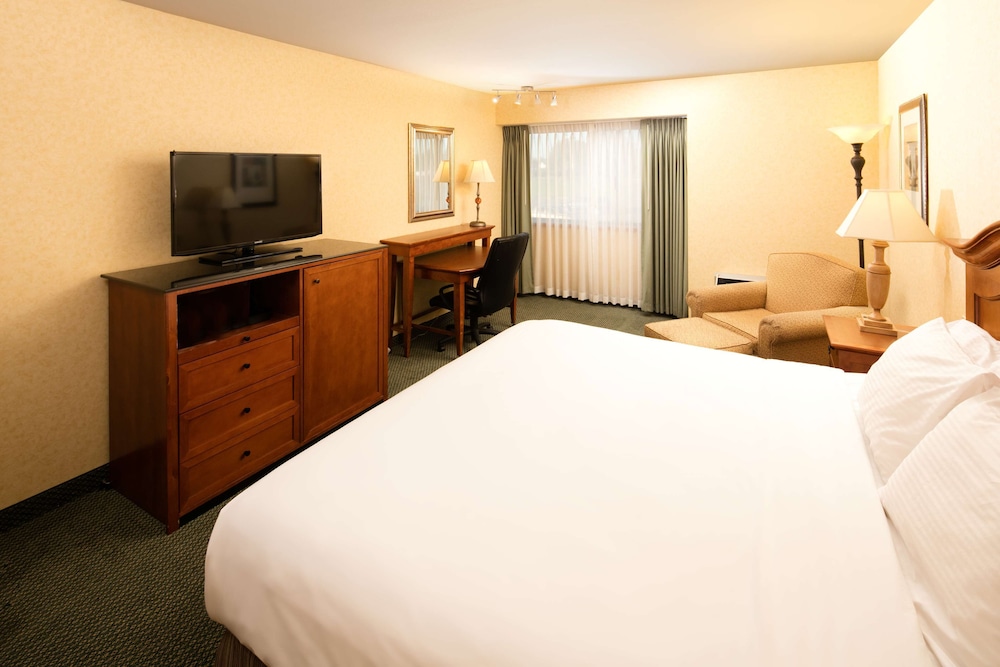 Premium Room, 1 King Bed, Courtyard View
