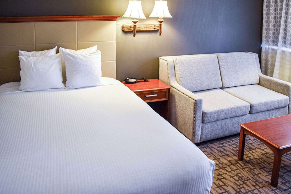 Room (Handicap Full Size Bed) - Photo 1