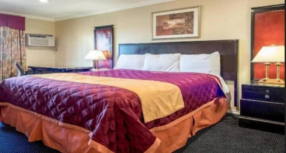 Economy Room, 1 King Bed, Refrigerator & Microwave, City View