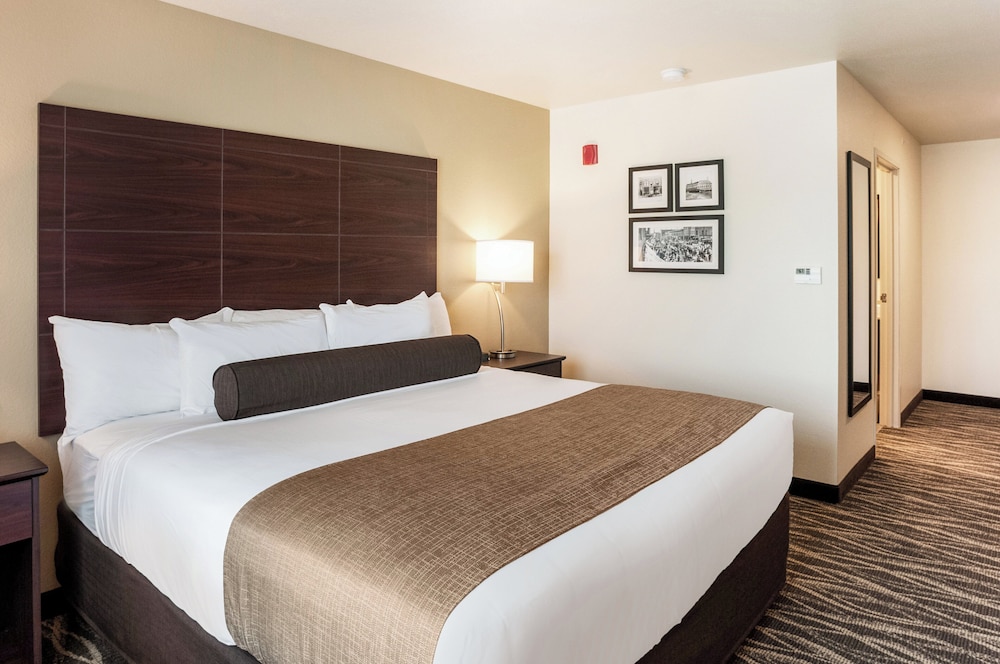 Room, 1 King Bed, Non Smoking - Photo 1