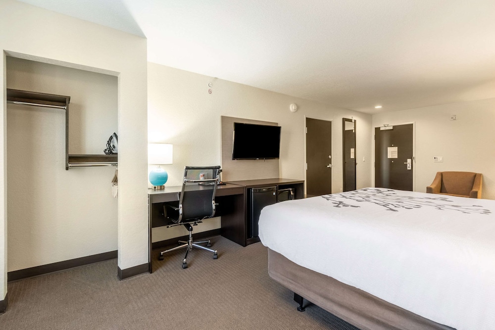 Suite, 1 King Bed, Non Smoking - Photo 3