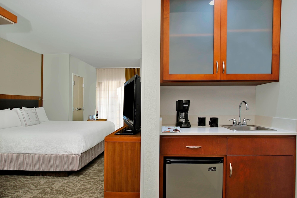 Studio, 1 King Bed with Sofa bed (Mobility/Hearing Access, Roll-In Shwr) photo 1