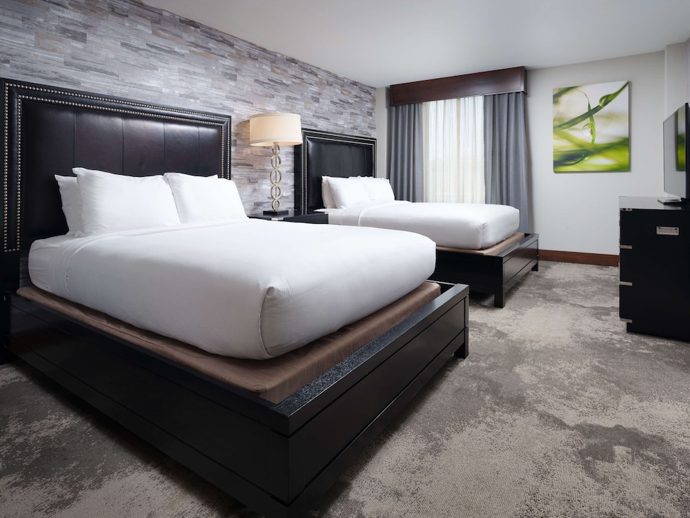Suite photo 2