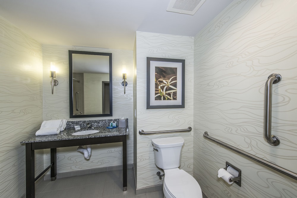 Suite, 1 King Bed - Photo 6