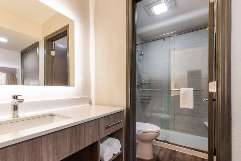 Suite, 1 King Bed, Accessible, Kitchen (with Sofabed) - Photo 7