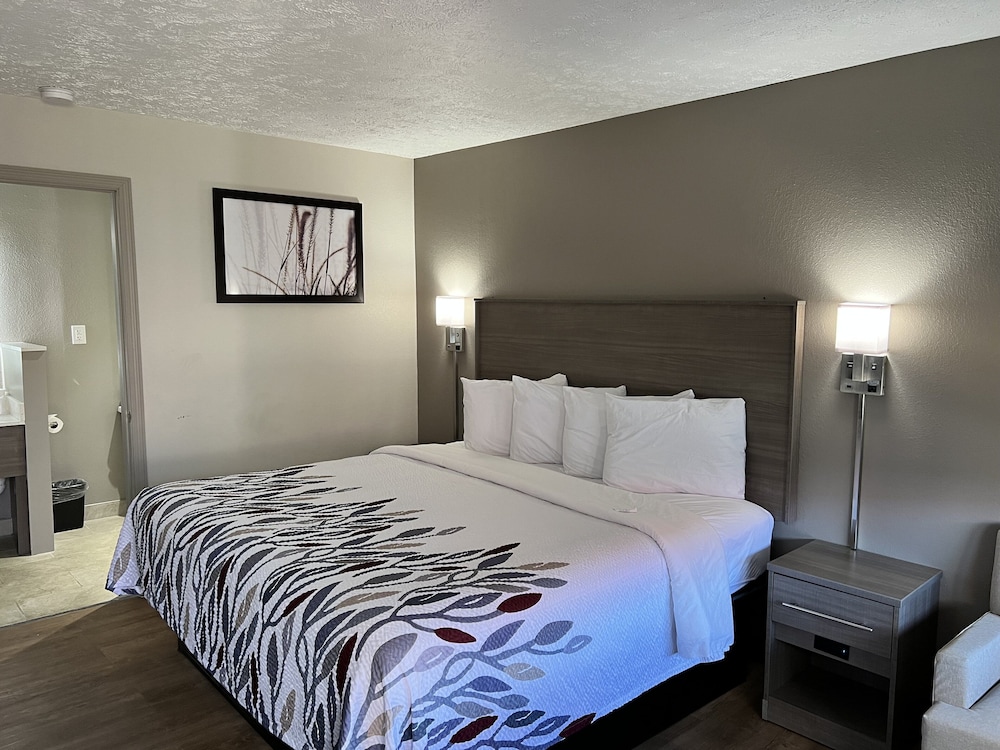 Deluxe Room, 1 King Bed, Non Smoking - Photo 1