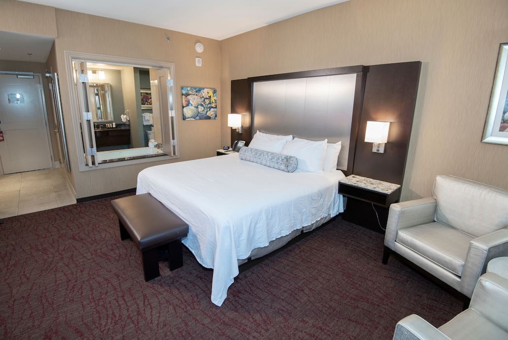 Deluxe Wide King Suite photo 2