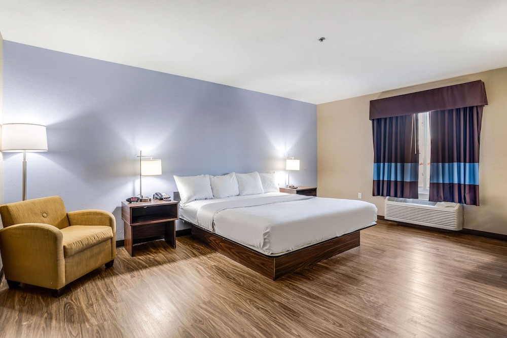 Suite, 1 King Bed, Non Smoking photo 1