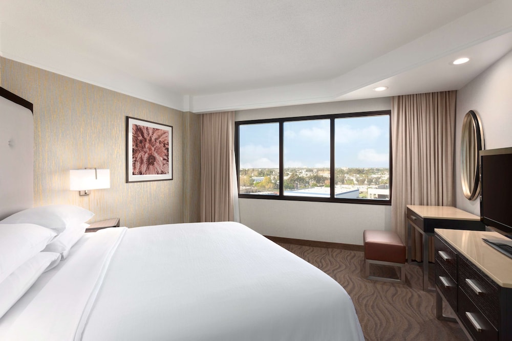 Suite, 1 King Bed with Sofa bed photo 1