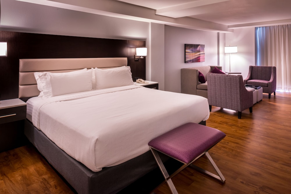 Suite, 1 King Bed - Photo 4