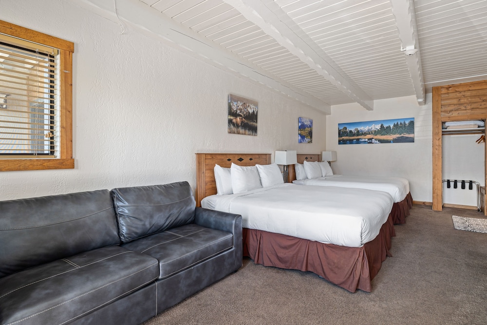 Family Suite photo 1