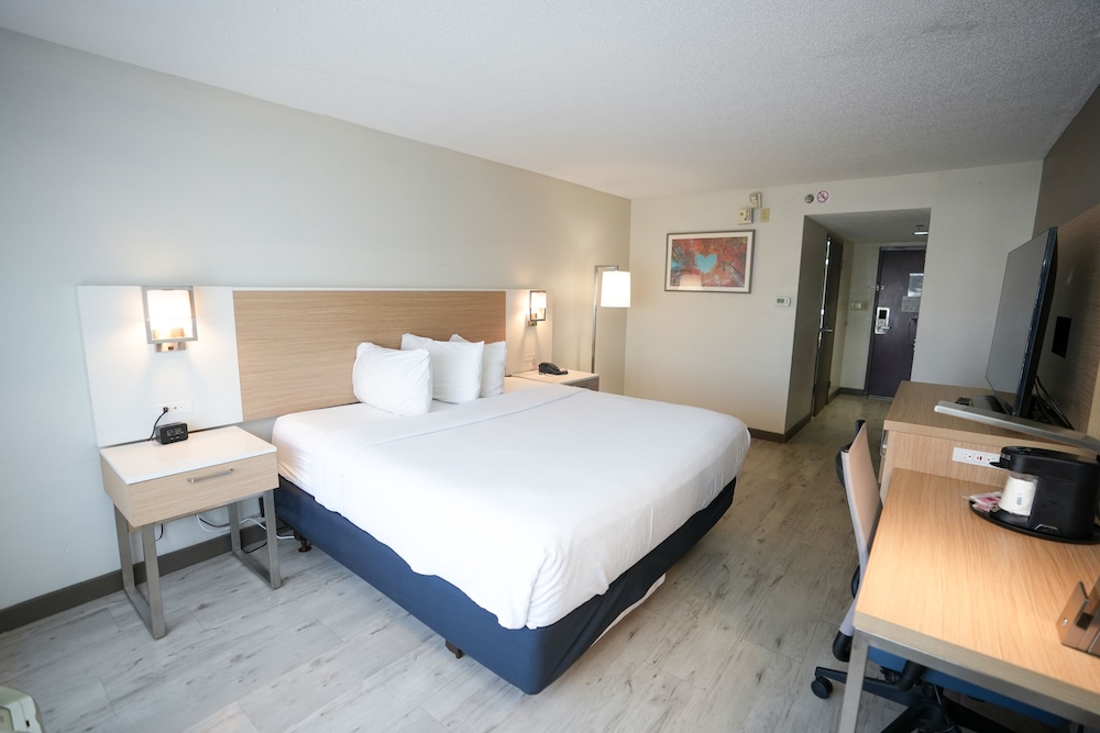 Room, 1 King Bed, Non Smoking (Mobility Accessible) - Photo 3