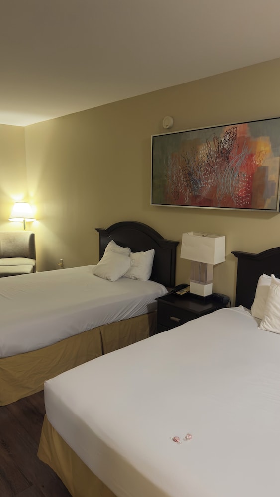 Double Room, 2 Queen Beds, Non Smoking, Pets Allowed photo 1