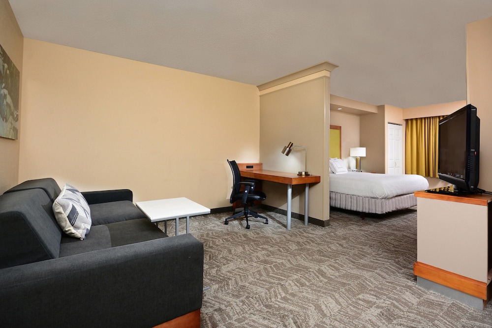Studio, 1 King Bed with Sofa bed, Bathtub (Mobility/Hearing Accessible, Tub)