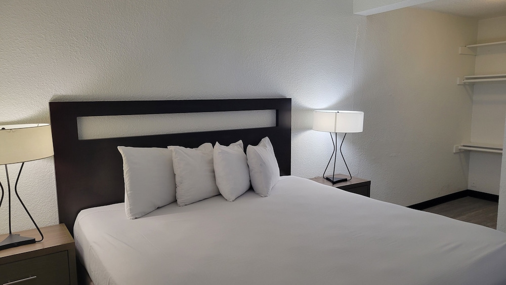 Suite, 1 Bedroom photo 1
