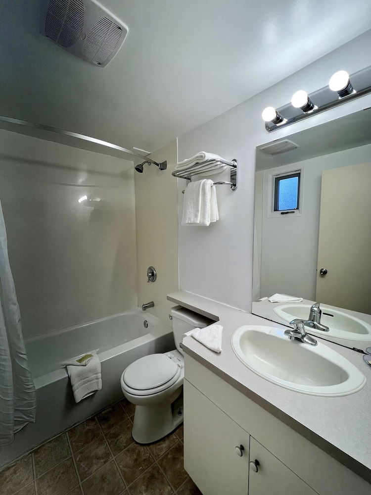 Premium Room, 1 Queen Bed - Photo 10