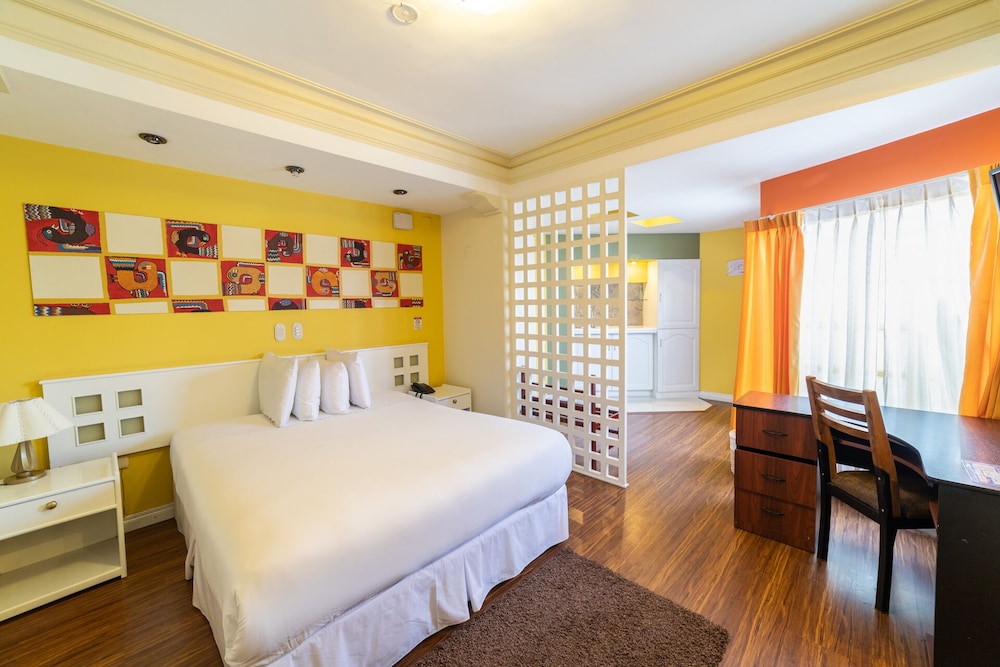Executive Studio Suite photo 1