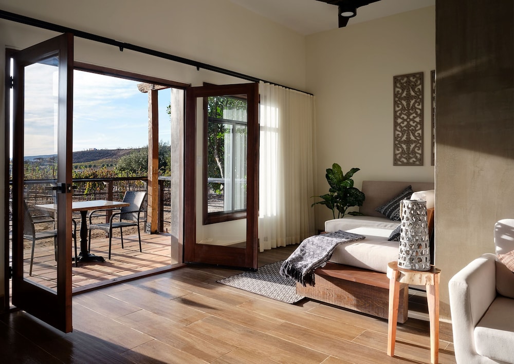 Suite - Photo 2