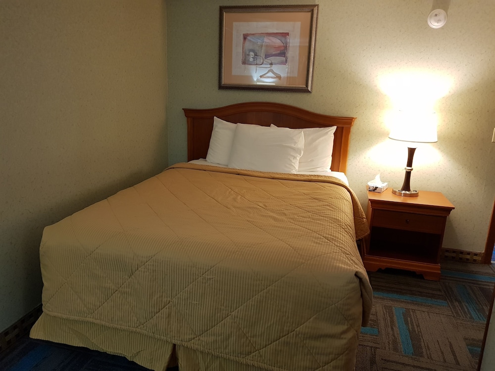 Basic Room photo 3