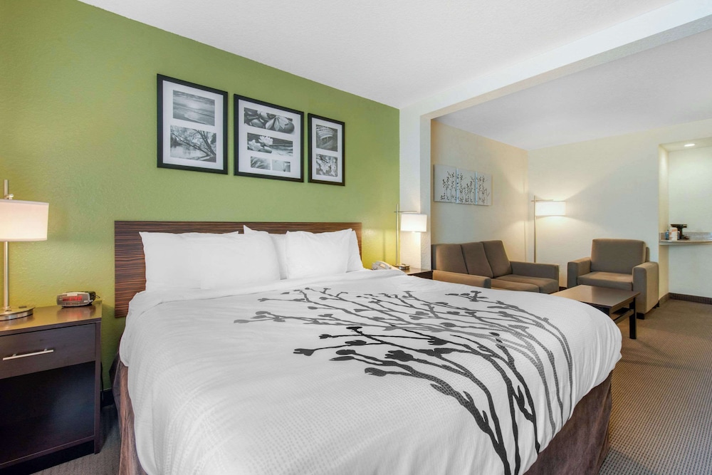 Suite, 1 King Bed, Non Smoking - Photo 3