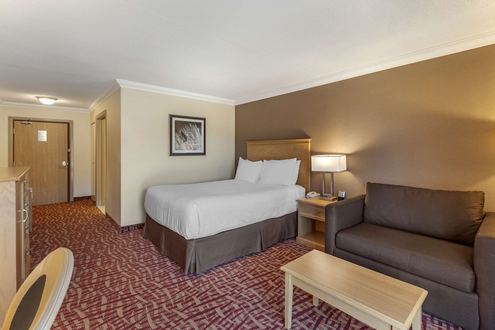 Standard Room, 1 Queen Bed, Accessible, Patio photo 1