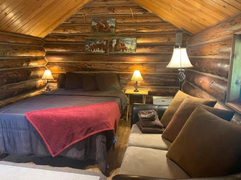 Cozy Moose Cabin (No Running Water) photo 1